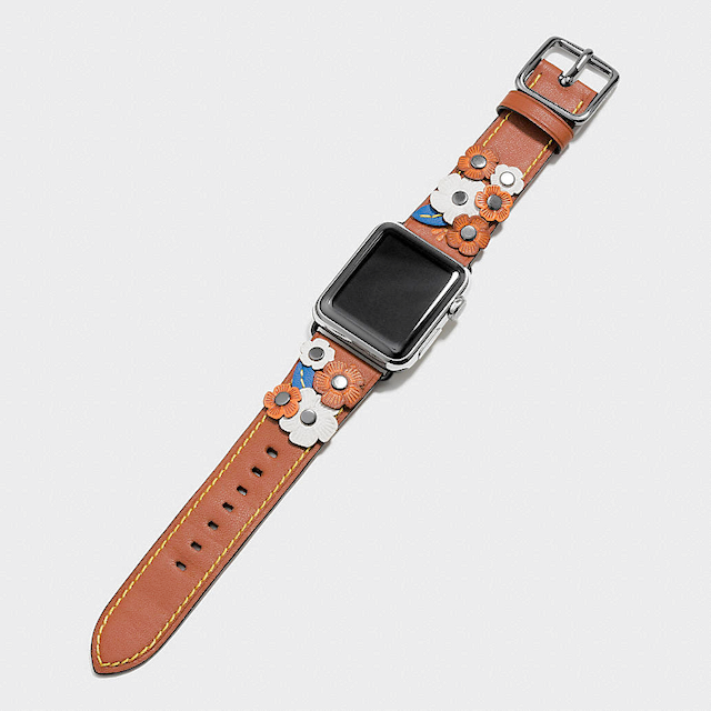 Apple Watch(初代アップルウオッチ)の説明と仕様 | iPod/iPad/iPhoneの 